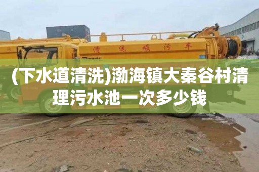 (下水道清洗)渤海镇大秦谷村清理污水池一次多少钱