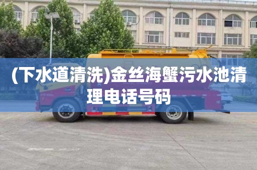 (下水道清洗)金丝海蟹污水池清理电话号码