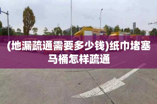 (地漏疏通需要多少钱)纸巾堵塞马桶怎样疏通