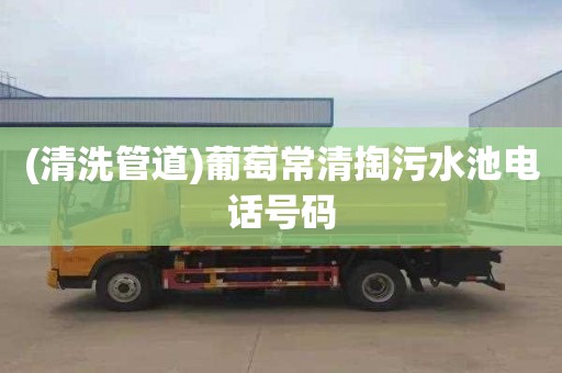 (清洗管道)葡萄常清掏污水池电话号码