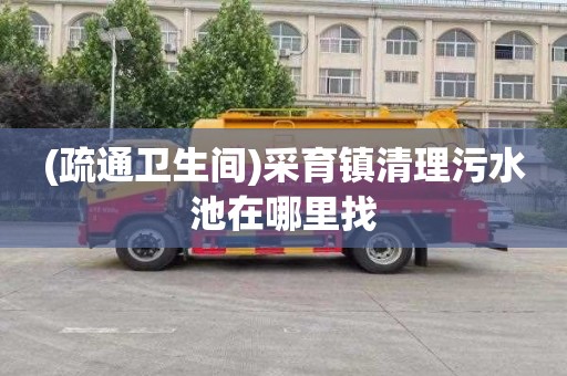 (疏通卫生间)采育镇清理污水池在哪里找