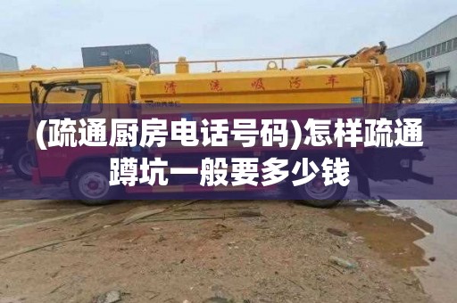 (疏通厨房电话号码)怎样疏通蹲坑一般要多少钱