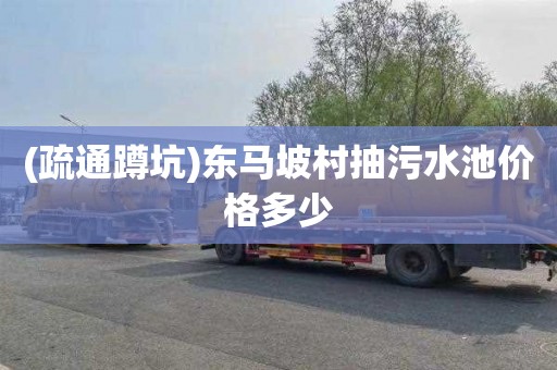 (疏通蹲坑)东马坡村抽污水池价格多少