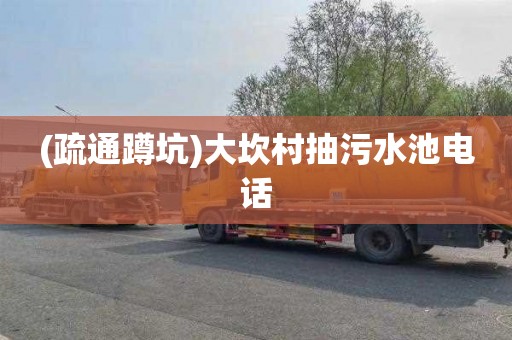 (疏通蹲坑)大坎村抽污水池电话