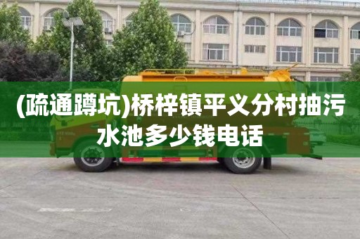 (疏通蹲坑)桥梓镇平义分村抽污水池多少钱电话