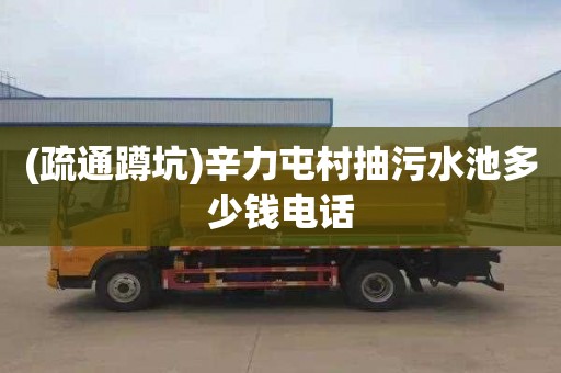 (疏通蹲坑)辛力屯村抽污水池多少钱电话