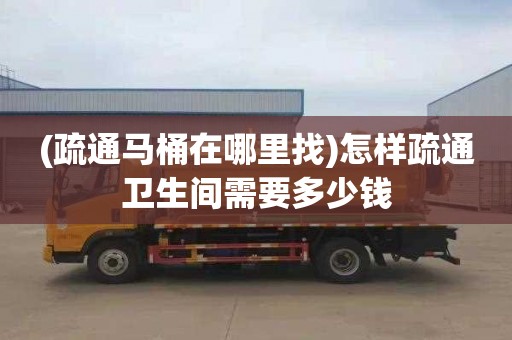 (疏通马桶在哪里找)怎样疏通卫生间需要多少钱