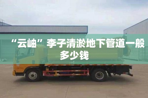 “云岫”李子清淤地下管道一般多少钱