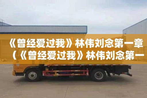 《曾经爱过我》林伟刘念第一章（《曾经爱过我》林伟刘念第一章原文）