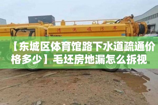 【东城区体育馆路下水道疏通价格多少】毛坯房地漏怎么拆视频