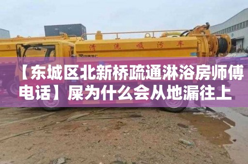 【东城区北新桥疏通淋浴房师傅电话】屎为什么会从地漏往上冒