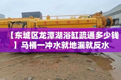 【东城区龙潭湖浴缸疏通多少钱】马桶一冲水就地漏就反水