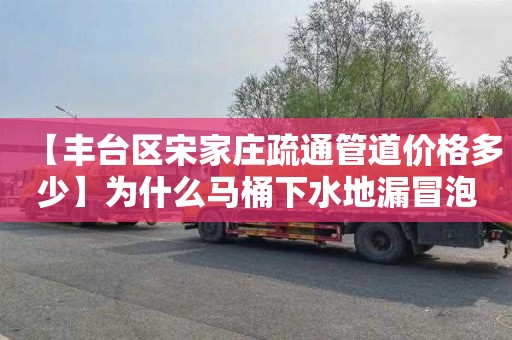 【丰台区宋家庄疏通管道价格多少】为什么马桶下水地漏冒泡