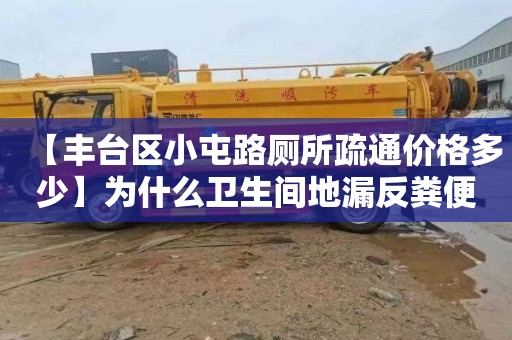 【丰台区小屯路厕所疏通价格多少】为什么卫生间地漏反粪便