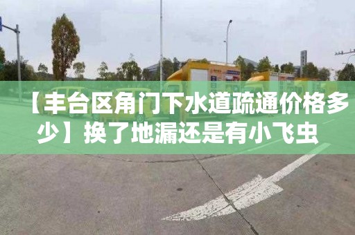 【丰台区角门下水道疏通价格多少】换了地漏还是有小飞虫