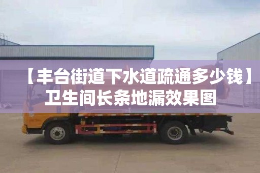 【丰台街道下水道疏通多少钱】卫生间长条地漏效果图