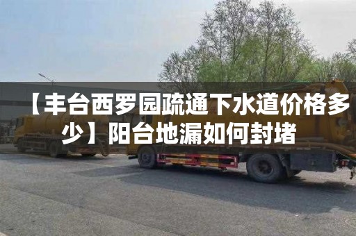 【丰台西罗园疏通下水道价格多少】阳台地漏如何封堵