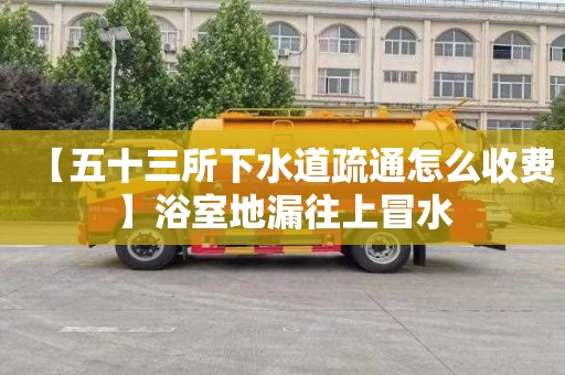 【五十三所下水道疏通怎么收费】浴室地漏往上冒水