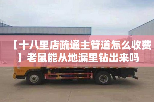 【十八里店疏通主管道怎么收费】老鼠能从地漏里钻出来吗