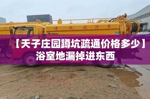 【天子庄园蹲坑疏通价格多少】浴室地漏掉进东西