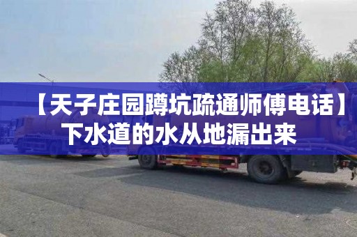 【天子庄园蹲坑疏通师傅电话】下水道的水从地漏出来