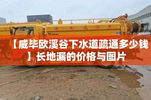 【威毕欧溪谷下水道疏通多少钱】长地漏的价格与图片
