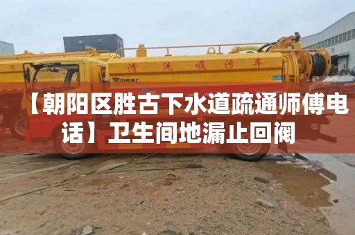 【朝阳区胜古下水道疏通师傅电话】卫生间地漏止回阀