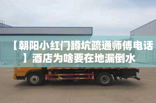 【朝阳小红门蹲坑疏通师傅电话】酒店为啥要在地漏倒水