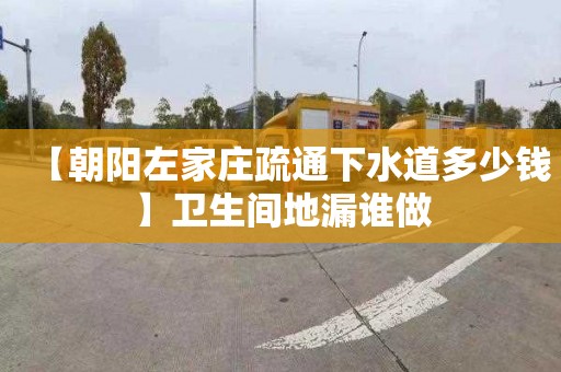 【朝阳左家庄疏通下水道多少钱】卫生间地漏谁做