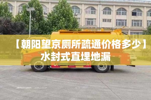 【朝阳望京厕所疏通价格多少】水封式直埋地漏