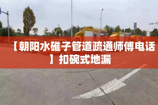 【朝阳水碓子管道疏通师傅电话】扣碗式地漏