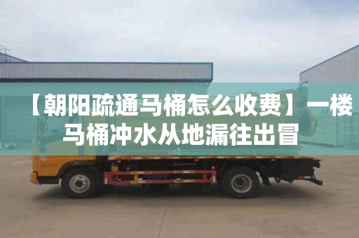 【朝阳疏通马桶怎么收费】一楼马桶冲水从地漏往出冒