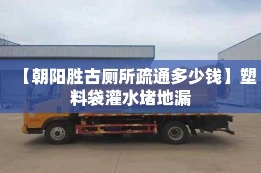 【朝阳胜古厕所疏通多少钱】塑料袋灌水堵地漏