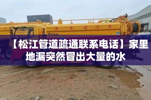 【松江管道疏通联系电话】家里地漏突然冒出大量的水