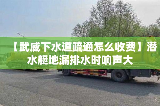 【武威下水道疏通怎么收费】潜水艇地漏排水时响声大