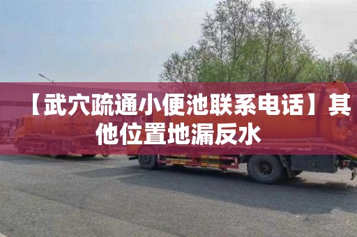 【武穴疏通小便池联系电话】其他位置地漏反水