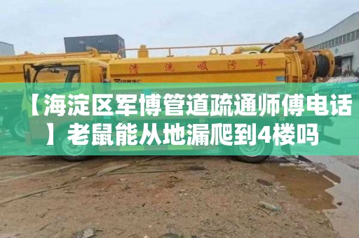 【海淀区军博管道疏通师傅电话】老鼠能从地漏爬到4楼吗