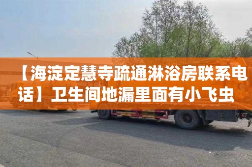 【海淀定慧寺疏通淋浴房联系电话】卫生间地漏里面有小飞虫怎么处理