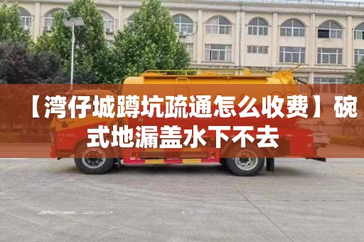 【湾仔城蹲坑疏通怎么收费】碗式地漏盖水下不去