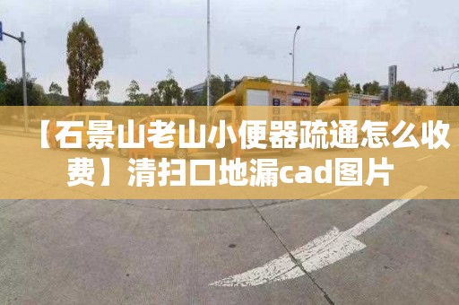 【石景山老山小便器疏通怎么收费】清扫口地漏cad图片