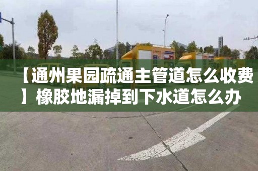 【通州果园疏通主管道怎么收费】橡胶地漏掉到下水道怎么办