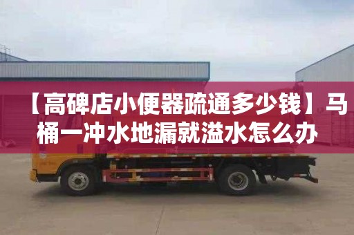 【高碑店小便器疏通多少钱】马桶一冲水地漏就溢水怎么办