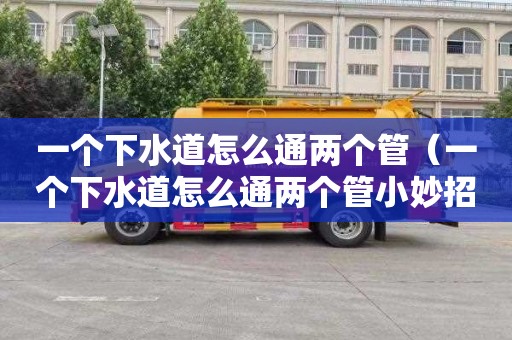 一个下水道怎么通两个管（一个下水道怎么通两个管小妙招）