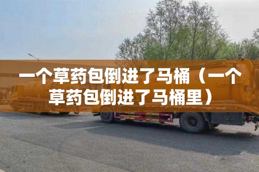 一个草药包倒进了马桶（一个草药包倒进了马桶里）