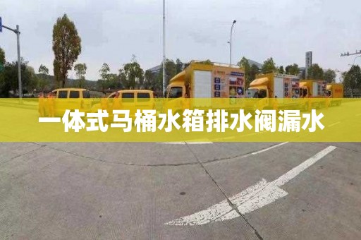 一体式马桶水箱排水阀漏水