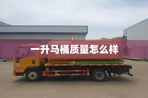 一升马桶质量怎么样