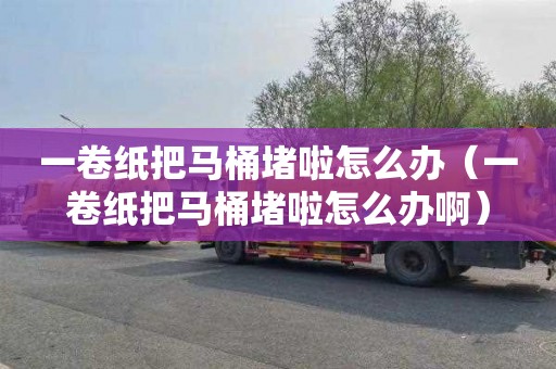 一卷纸把马桶堵啦怎么办（一卷纸把马桶堵啦怎么办啊）