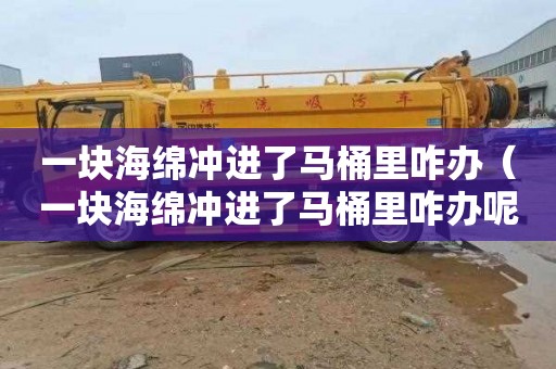 一块海绵冲进了马桶里咋办（一块海绵冲进了马桶里咋办呢）