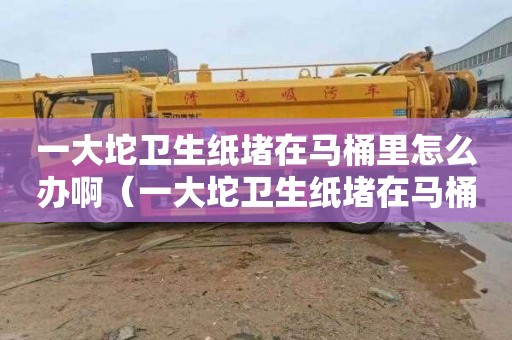 一大坨卫生纸堵在马桶里怎么办啊（一大坨卫生纸堵在马桶里怎么办啊图片）