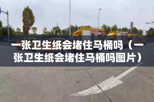 一张卫生纸会堵住马桶吗（一张卫生纸会堵住马桶吗图片）